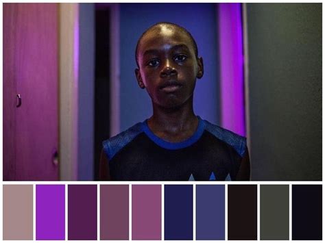 Moonlight | Movie color palette, Color film, Cinema colours