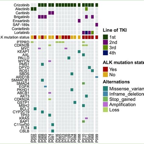 (A) ALK resistance mutations in plasma samples after progression on an ...