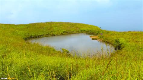 Chembra Peak Trek - Trek to the Heart-Shaped Lake in Kerala