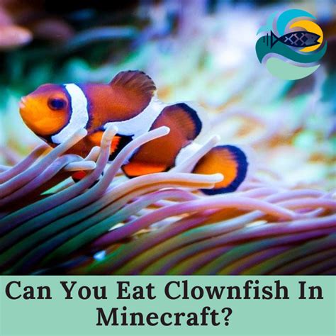 Can You Eat Clownfish? |The Facts About Eating ClownFish|