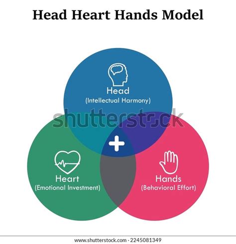 Head Heart Hands Model Icons Infographic Stock Vector (Royalty Free ...