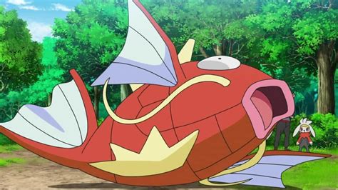 At what level does Magikarp evolve in Pokemon? Evolution guide for ...