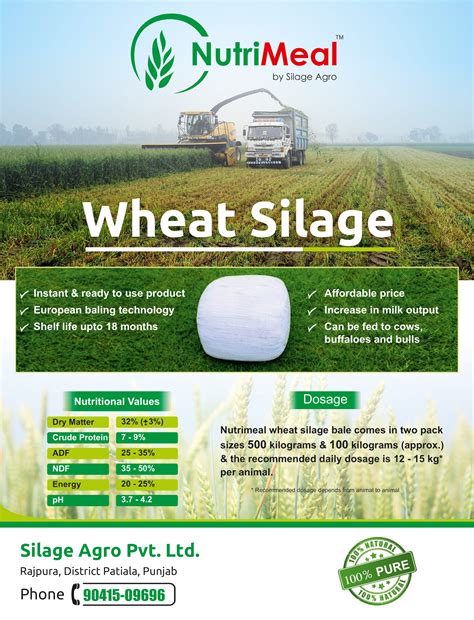 Best Wheat Silage Seller in Punjab, Startup India