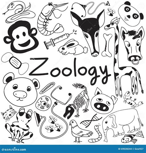 Zoology Animals