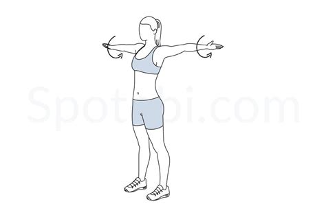 Arm Circles | Illustrated Exercise Guide | Workout guide, Shoulder ...