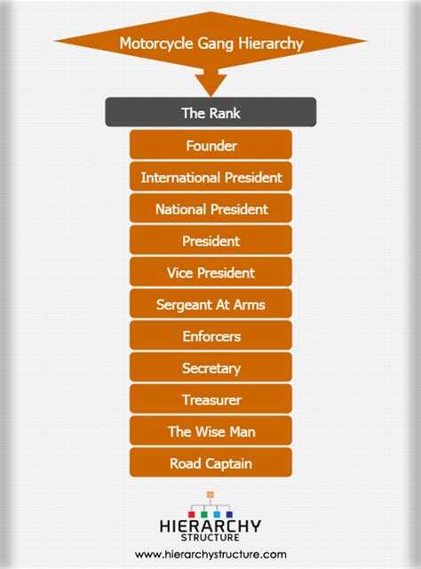 Outlaw Motorcycle Gang Hierarchy Chart | Images and Photos finder