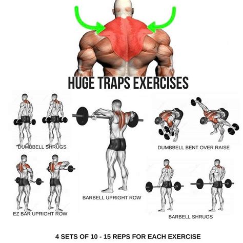 Huge Traps Workout step by step tutorial | Traps workout, Bodybuilding ...