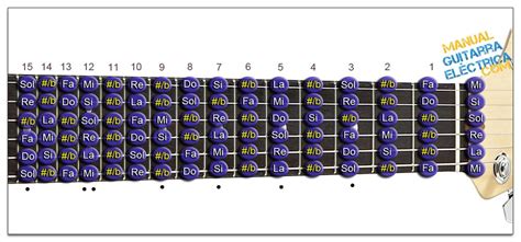 Notas de la Guitarra y Empezar a Practicar - Notas del Mástil