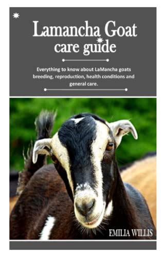 LAMANCHA GOAT CARE GUIDE: Everything to know about LaMancha goats breeding, reproduction, health ...