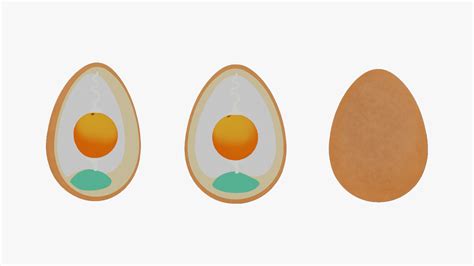 Anatomy Of Bird Egg Model - TurboSquid 2035236