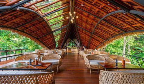 Three Monkeys: The New Phuket’s Dining Experience in Green Season – Phuket.Net