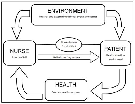 🌱 Nursing metaparadigm environment. 2.2: The Nursing Metaparadigm. 2022-11-01