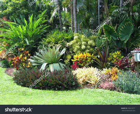 Names Of Landscaping Plants