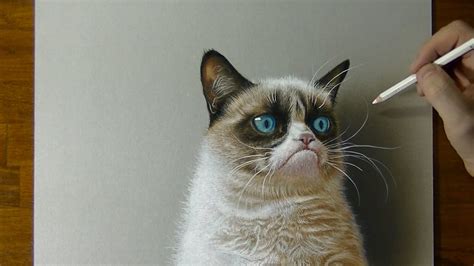 Grumpy Cat Drawings : Grumpy Cat Drawing At Getdrawings | Driskulin