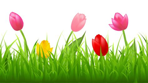 Download High Quality Flower clipart row Transparent PNG Images - Art ...