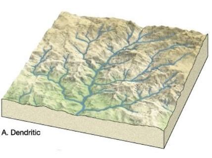 What Is Dendritic Drainage Pattern In Geography - Best Drain Photos Primagem.Org