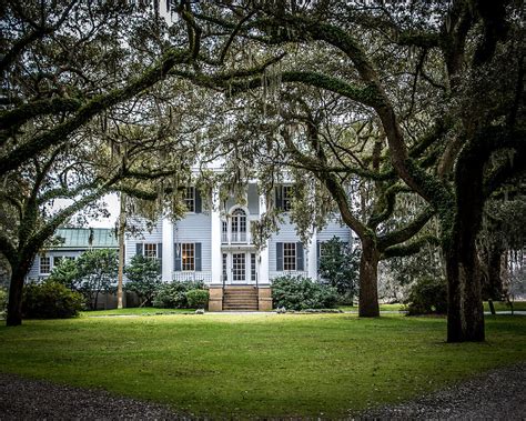 Mcleod Plantation Charleston, Sc 4 Photograph by Ted Jennings