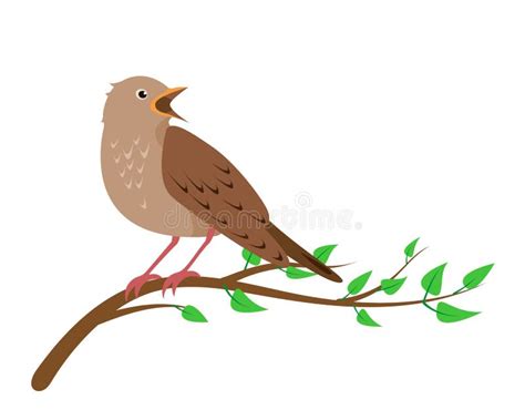 Singing Nightingale Bird Animal Cartoon Character Vector Illustration Stock Vector ...