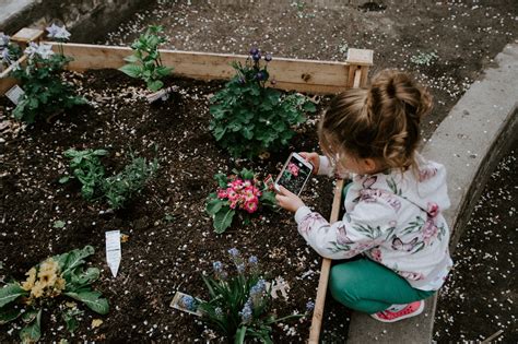 Gardening with Toddlers: Introducing Children to Gardening - Try To Garden