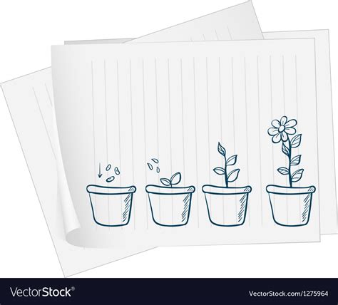 A paper with drawing of growing plant Royalty Free Vector