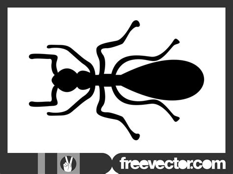 Ant Silhouette Graphics Vector Art & Graphics | freevector.com