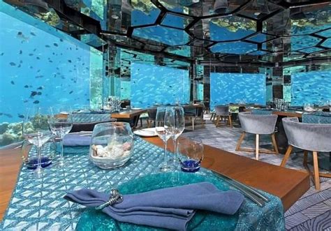 Underwater Restaurants In Maldives: 5 Spots To Dine At In 2023