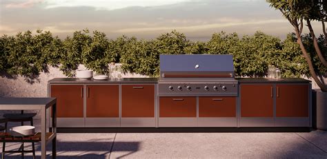 Danver Stainless Steel Outdoor Cabinets | Cabinets Matttroy