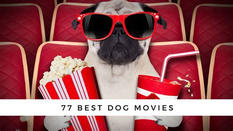 77 Best Dog Movies to Make You Laugh or Cry!