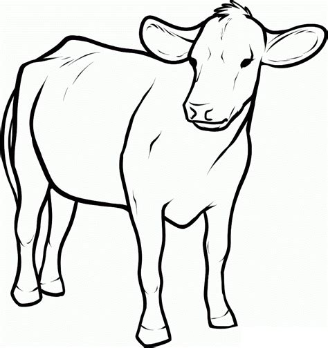 Coloring Page Of Cows