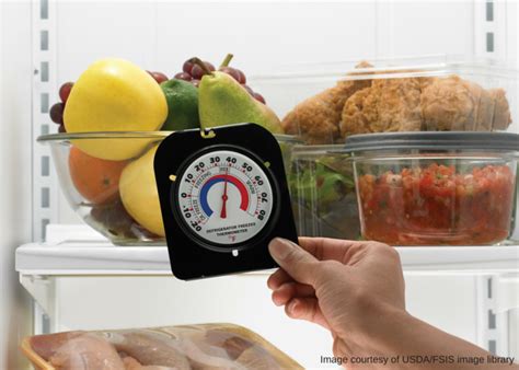 Use a Refrigerator and a Freezer Thermometer | UNL Food