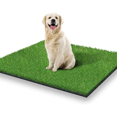 Can A Dog Dig Up Artificial Grass