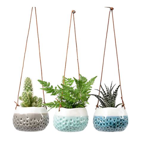 Indoor Hanging Plant Pots - Quality Indoor Plant Pots - Hortology
