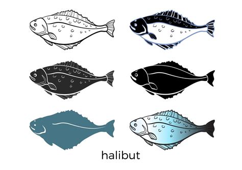 Premium Vector | Set of sea fish Halibut Vector shape Seafood sketch ...