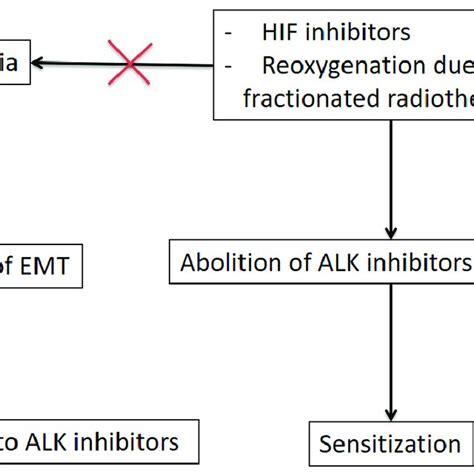 Role of hypoxia in ALK inhibitor resistance and the ability of ...