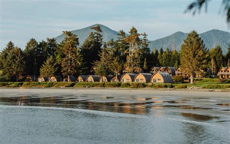 11 Best Tofino Airbnb & Cabin Rentals for Nature Lovers | Field Mag