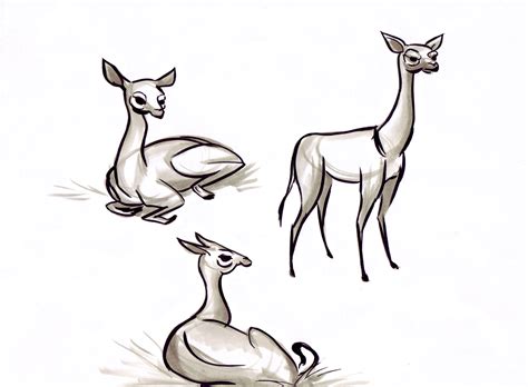 Steftacular's Blog: Animal Gesture Drawings from the LA Zoo