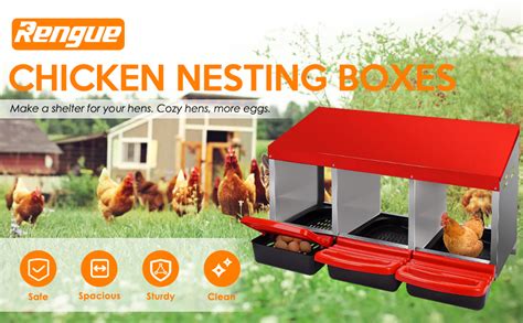 Amazon.com: Rengue Chicken Nesting Box - 3 Hole Metal Nesting Boxes for ...