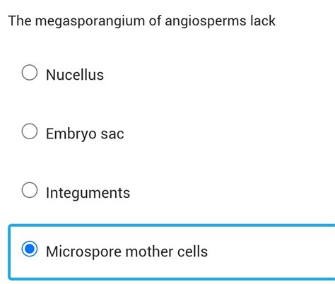 The megasporangium of angiosperms lack | StudyX