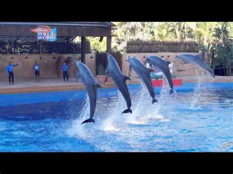 uShaka Marine World & the dolphins of Sea World, Durban - YouTube