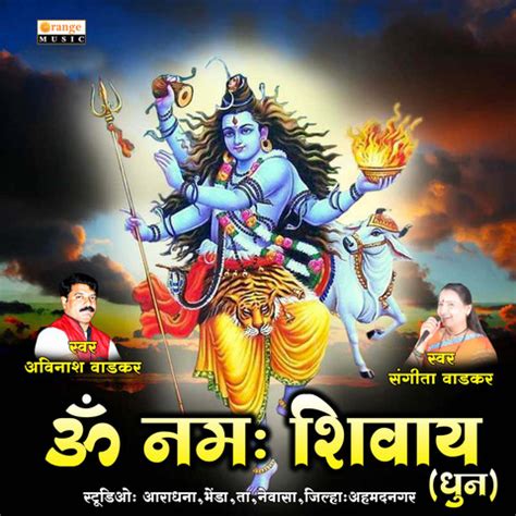 Om Namah Shivay Dhun Song Download: Om Namah Shivay Dhun MP3 Song Online Free on Gaana.com