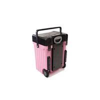 Cadii School Bag - Black Lid with Pink Body | Buy Online in South Africa | takealot.com