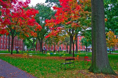 Harvard Yard | Harvard yard, Fall foliage, Beautiful landscapes