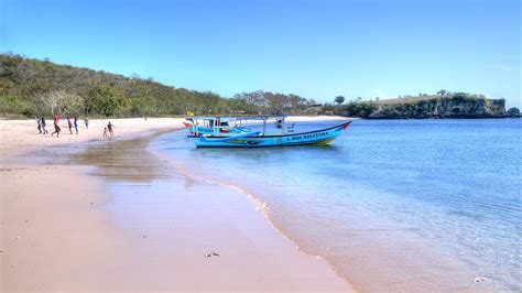 Komodo Island Images > See Original Photos & Gallery Of Komodo Island