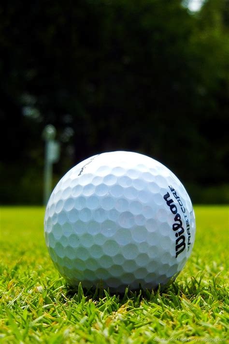 Free download Taylormade Golf Wallpaper [640x960] for your Desktop ...