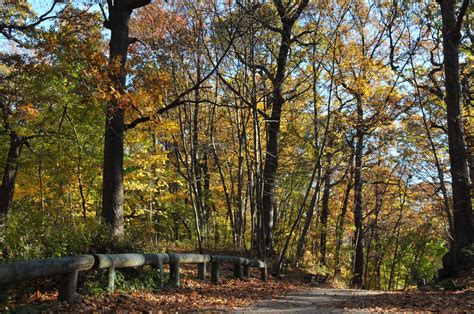 Public Park Series NYC: Forest Park Hike – Latino Outdoors