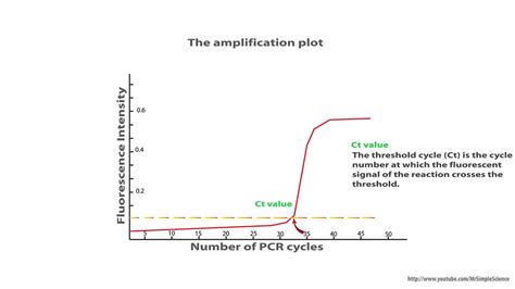 Pcr Amplification Graph