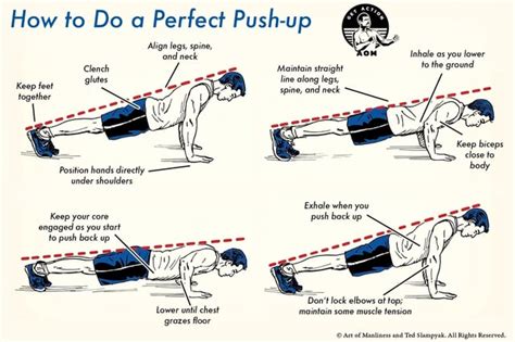 How to do a perfect push-up : r/howto