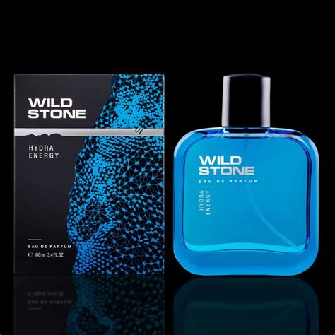 Male Sealed Wild Stone Perfume 100ml, For Daily Use at Rs 360 in New Delhi