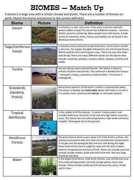 Best Images Of Identifying Biomes Worksheets Biome Characteristics | My ...