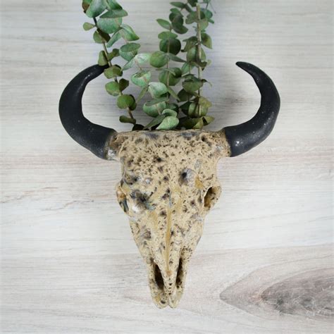 These handmade ceramic longhorn skull planters are intended to be hung ...